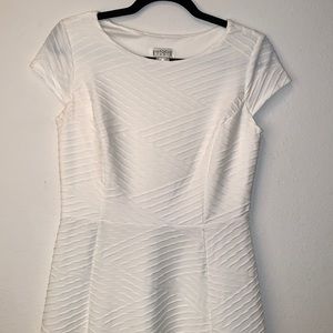 Enfocus studio shirt sleeve dress size 6